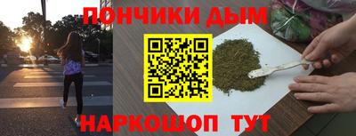 стаф Гай