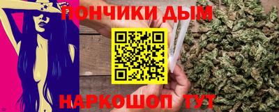стаф Гай