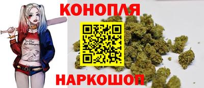 стаф Гай