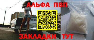 стаф Гай
