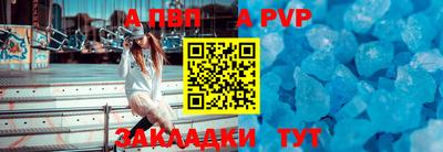 стаф Гай