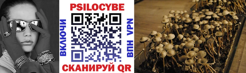 где продают   Волгодонск  Галлюциногенные грибы Psilocybe 