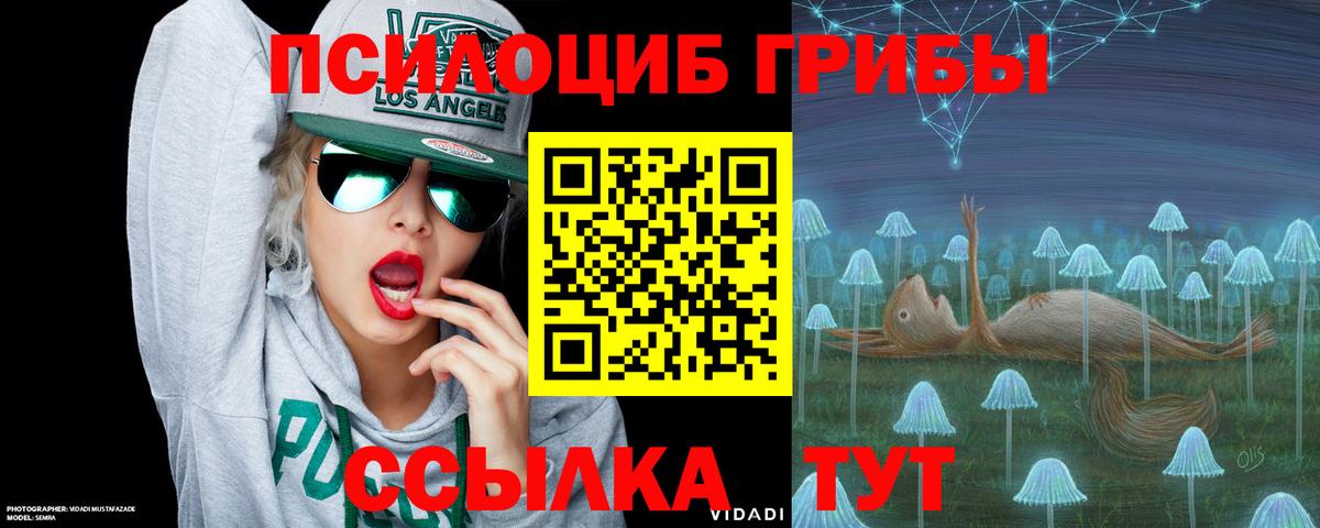 Псилоцибиновые грибы Magic Shrooms  Вход с VPN  Волгодонск 